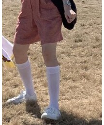 靴下屋 | ソックス/靴下