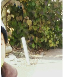 西松屋 | ニットキャップ/ビーニー