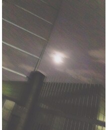 お月様 | 月綺麗だった。。(その他)