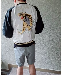 バックショット | その他