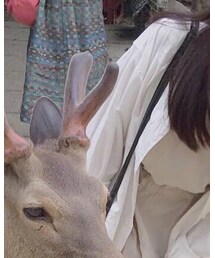 LOWRYS FARM | その他アウター