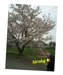 ★ | 息子とぉ花見🌸
(その他)