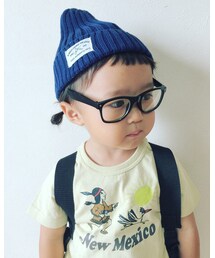 🐨🐨🐨 | その他