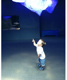 宇宙への連れ去り | その他