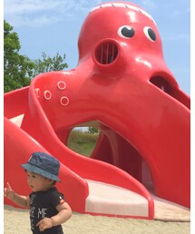 タコの滑り台🐙♡ | その他