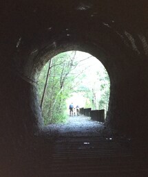 no brand | ながーいトンネル。(その他)