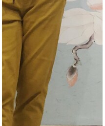 TOMMY HILFIGER | その他パンツ
