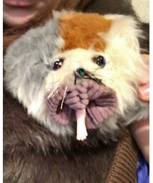 はなぢ | ブローチ/コサージュ