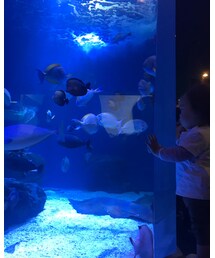 いっちゃん | その他