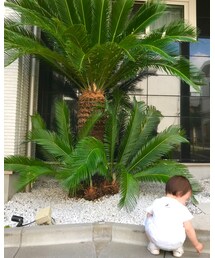 いっちゃん | ママ＆ベビー