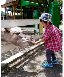 初めてロバに餌をあげる息子 | その他