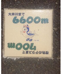 今度河口まで走ってみよう💨 | その他