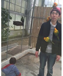去年🐥 | その他