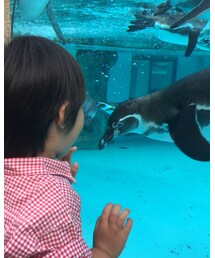 ペンギン&Hero君 | その他