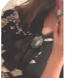 骨董 | ブローチ/コサージュ