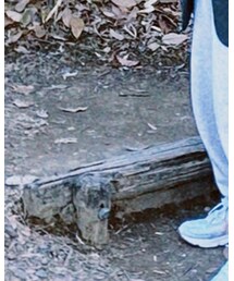 ZARA | タンクトップ