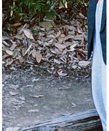 ZARA | ジャケット/アウター