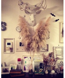 ハロウィン仕様 | 照明