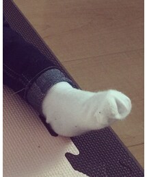 OLD NAVY | ソックス/靴下