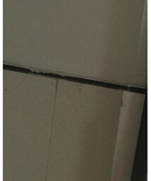 万年不变背景 | クッション/クッションカバー