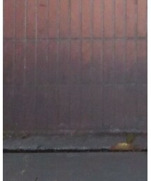 VINTAGE | Tシャツ/カットソー