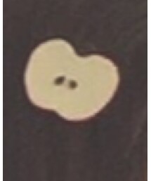 3coins | バレッタ/ヘアクリップ