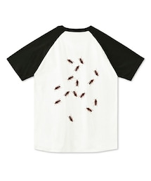 -- | Tシャツ/カットソー