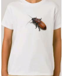 Teacey, Love | Tシャツ/カットソー