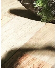 Dr. Martens | ブーツ