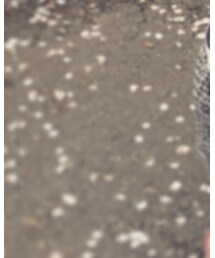 agnes b. | パンツ