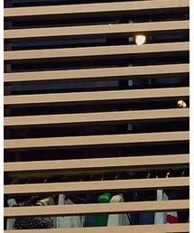 Enhance Element | シャツ/ブラウス