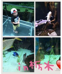 3日目コーデ那珂川水遊園🐠 | その他
