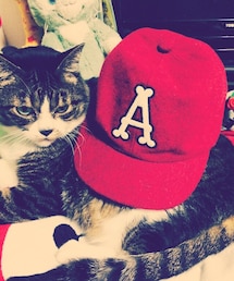TWITS | UMPIRE CAP

厚手のメルトンのキャップ★
コロンとまるい形がすごく可愛い〜
ツバの長さも◎
被りやすくて使いやすい！(キャップ)