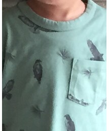 babyGAP | Tシャツ/カットソー