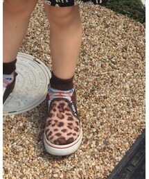 VANS | レオパード柄(スリッポン)