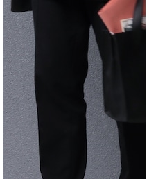 ZPLISH | スラックス