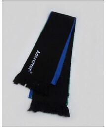 ADER error | マフラー