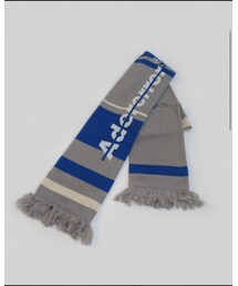 ADER error | マフラー