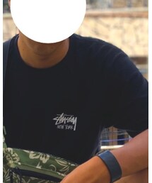 STUSSY | Tシャツ/カットソー