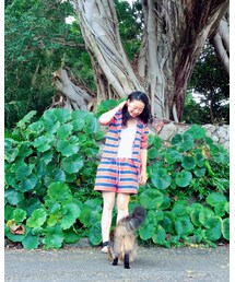 三島村 | 写真撮ってたら人懐っこい猫きた🐈(その他)