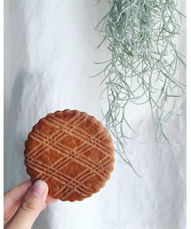 A.K Labo | 美味しいクッキー(その他)