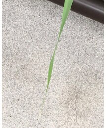 ZARA | スラックス