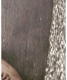 LEGENDA | スラックス