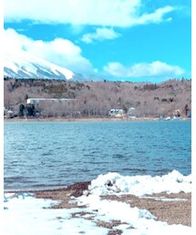 POLO RALPH LAUREN | ジャケット/アウター