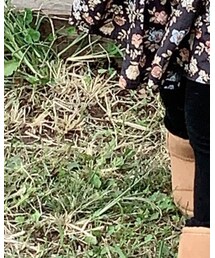 UNIQLO | レギンス/スパッツ