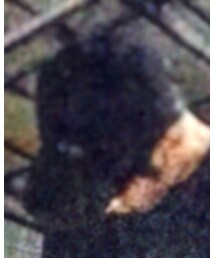 newhattan | キャップ