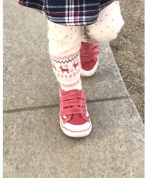 VANS | スニーカー