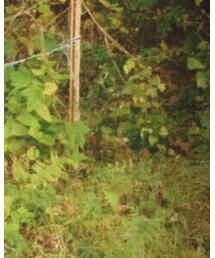 UNIQLO | カーディガン/ボレロ