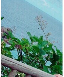 BEAMS | ニットキャップ/ビーニー