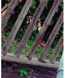 Lui's | デニムパンツ